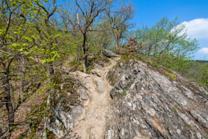 Aufstieg aus der Ehrbachklamm heraus Aufstieg aus der Ehrbachklamm heraus